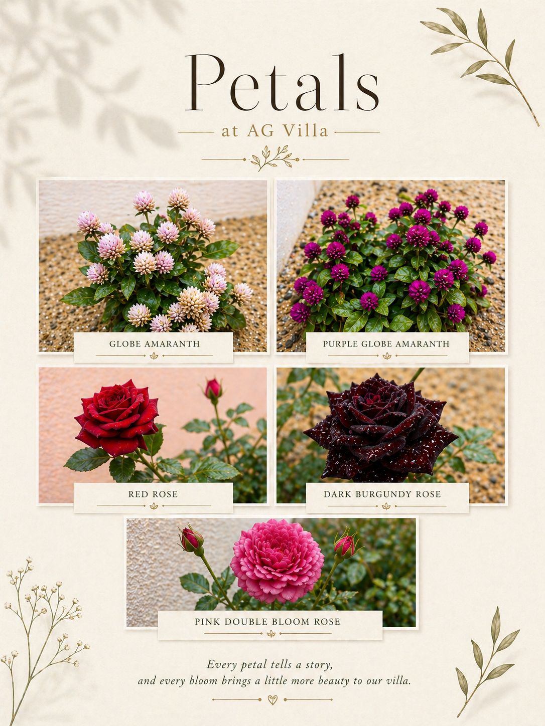 Petals at AG Villa
